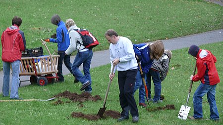 Blumenfreunde gesucht! - Wir benötigen fleißige Hände für Tulpenpflanzaktion